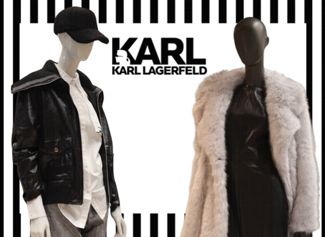 karl-campaign